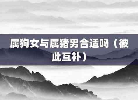 男狗女猪属相配吗?属猪女婚后有什么需要改正的?