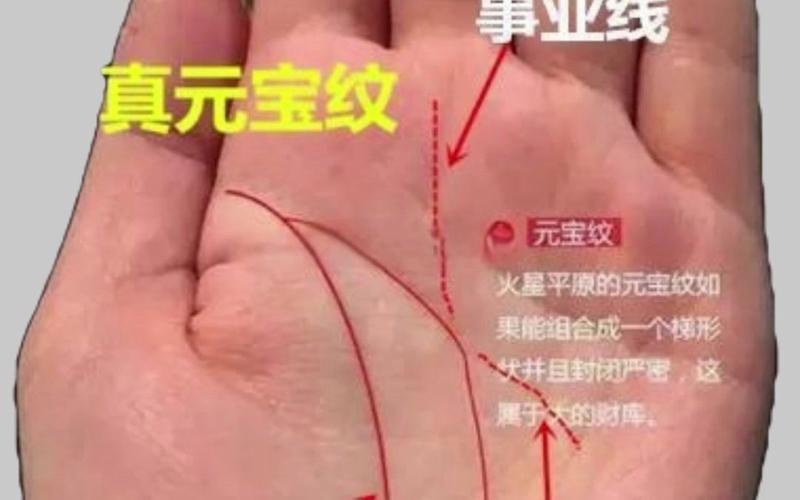 真元宝纹和假元宝纹