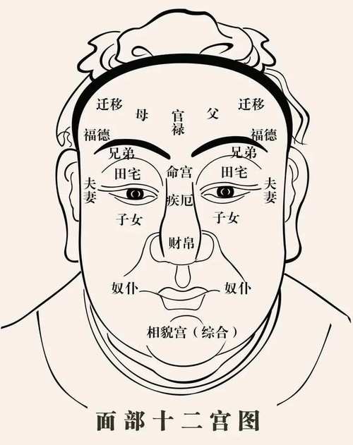 面相综合论断 相学面相百度贴吧