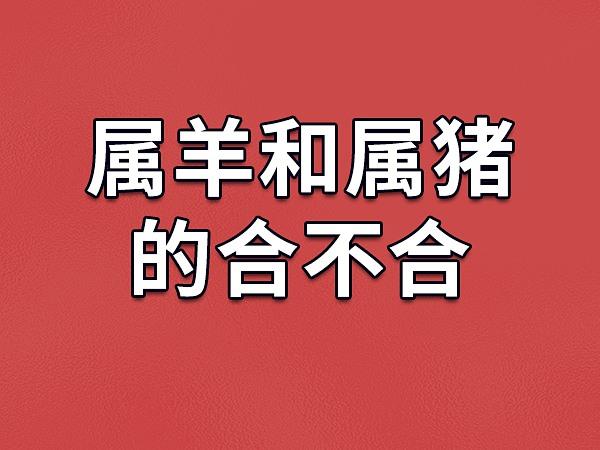 属猪爱上属羊人的可能性有多大
