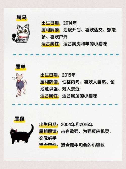 属鼠的核心竞争力分别是什么