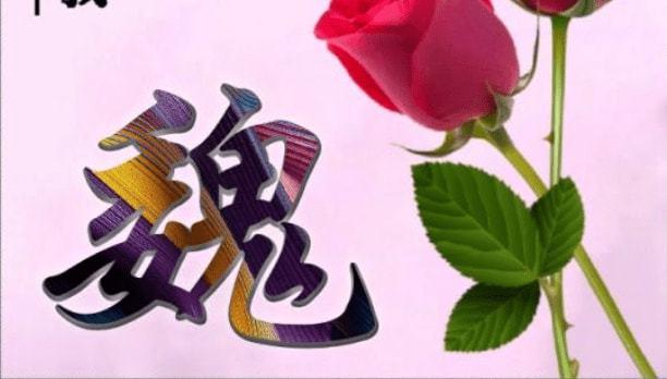 寓意好点的魏姓名字女孩两个字的有什么值得推荐的