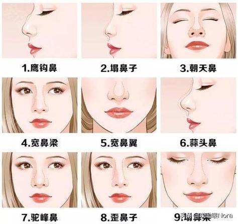 女人的鼻子看相图解,女人鼻相图解大全