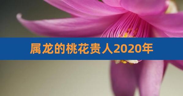属龙人的桃花贵人是谁