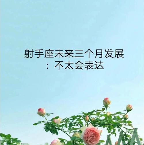 射手座从事什么对未来的发展恰到好处