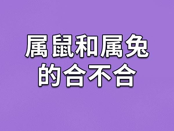 属鼠与属兔合不合