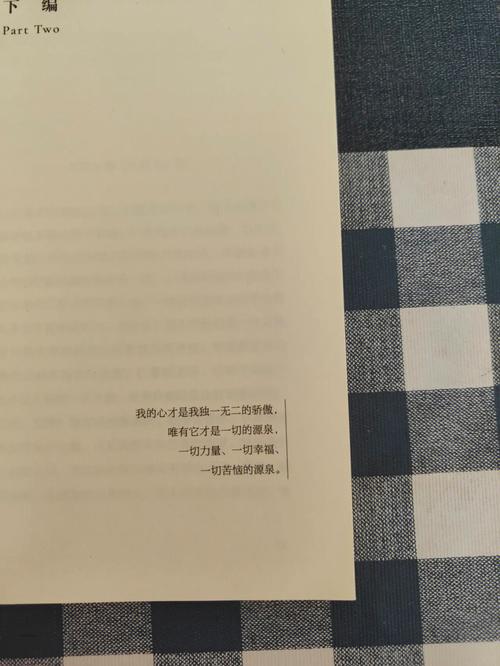 倔强在爱情里的血型君