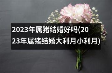 属猪的人2022年结婚利月