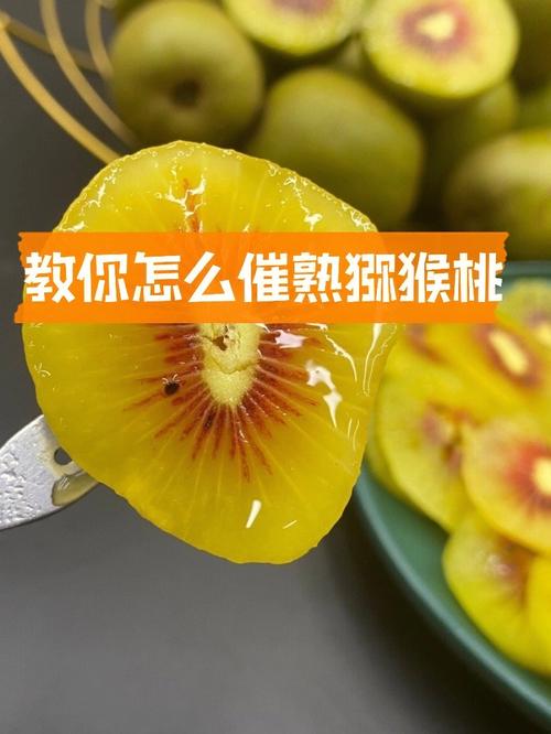 梦见猕猴桃怎么回事