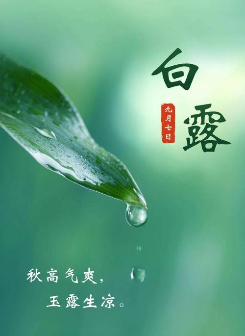 白露出生的男孩好吗,白露出生好命吗?