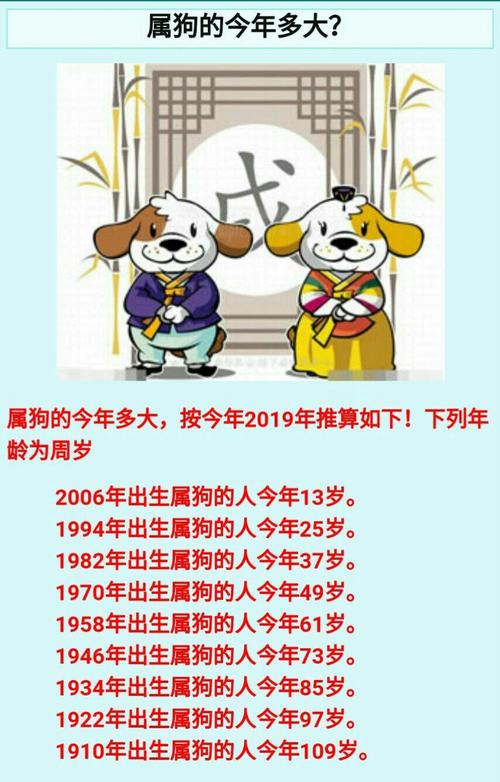 生肖狗该如何挽回破碎的爱情