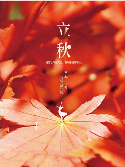 立秋二候白露生
