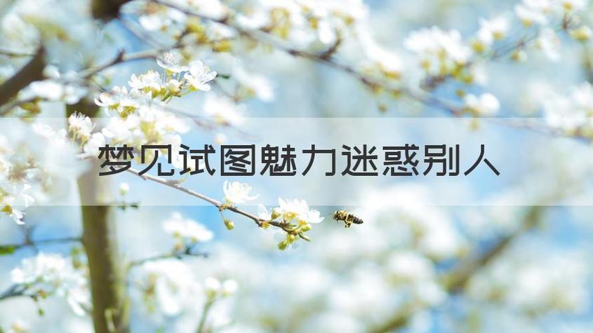 梦见魅力是什么意思