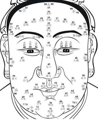 掌权男人的面相(讲解)