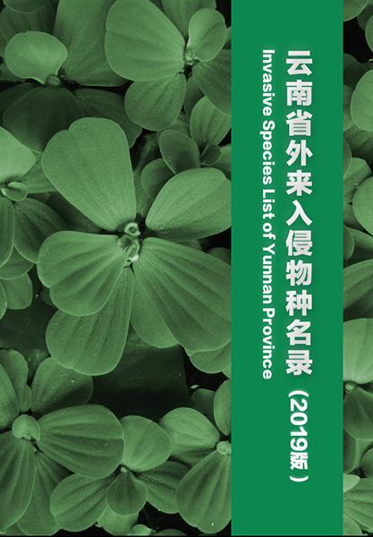 测试2019年你和哪种植物最相似呢