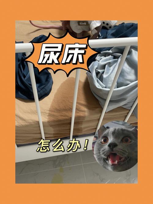 为什么做梦尿床就真的尿了