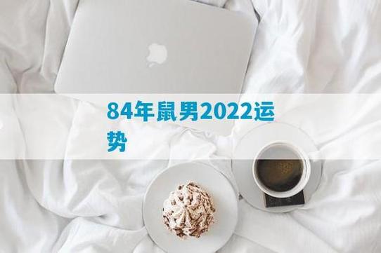 属鼠人2019年运势