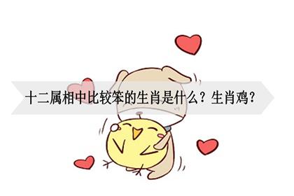 十二生肖最笨的动物是什么,智商不太够的动物