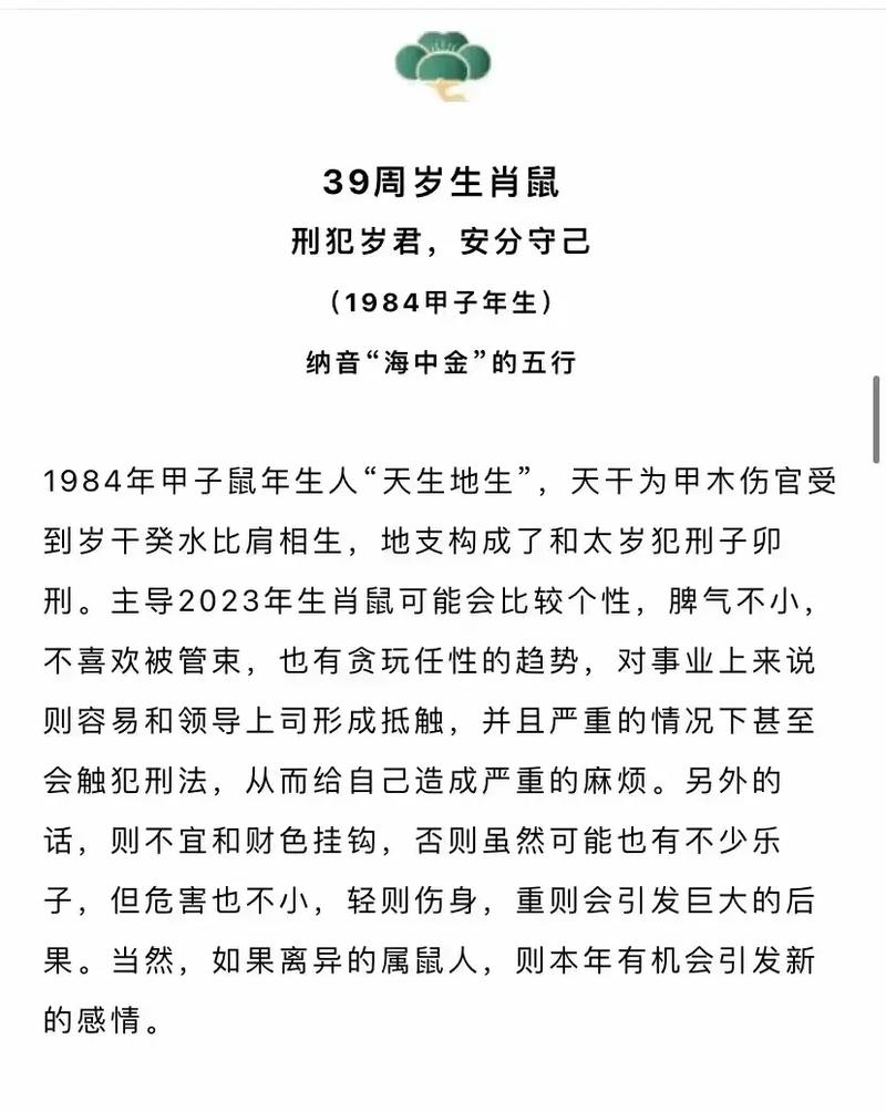属鼠人最凶的年份