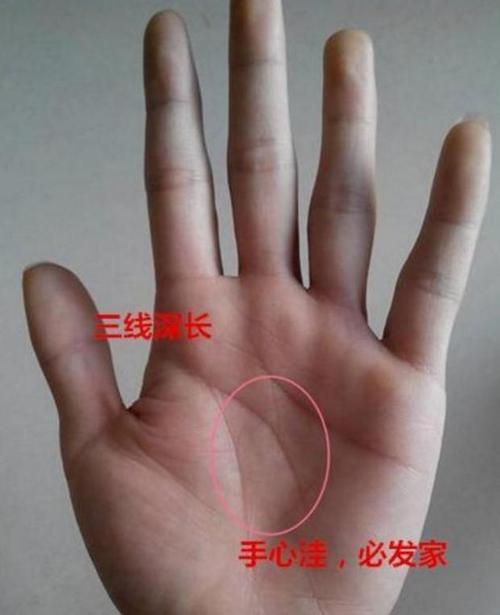 能享子女福的手相特征
