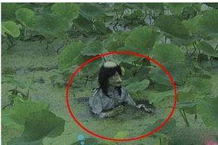 梦见猴子喝水 梦见水猴子是什么预兆