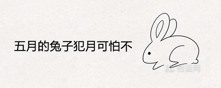五月的兔子犯月可怕不