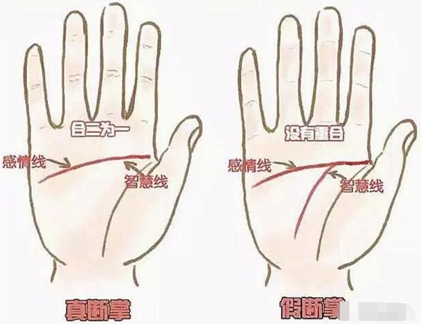 女人右手断掌纹的命运