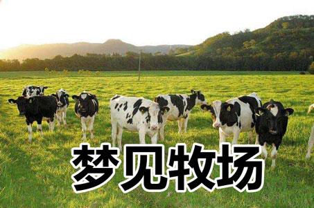 梦见牧场