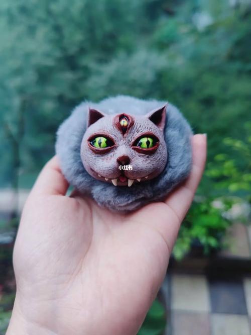 梦见三只眼的猫