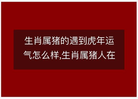 属猪的在虎年2022年运势如何