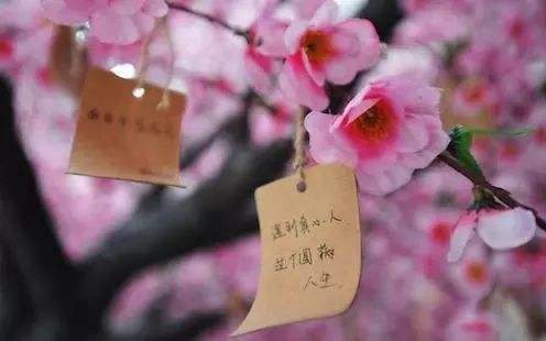 出生在啥月份的人桃花运好