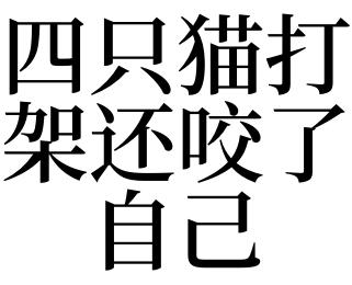 梦见打猫打不死