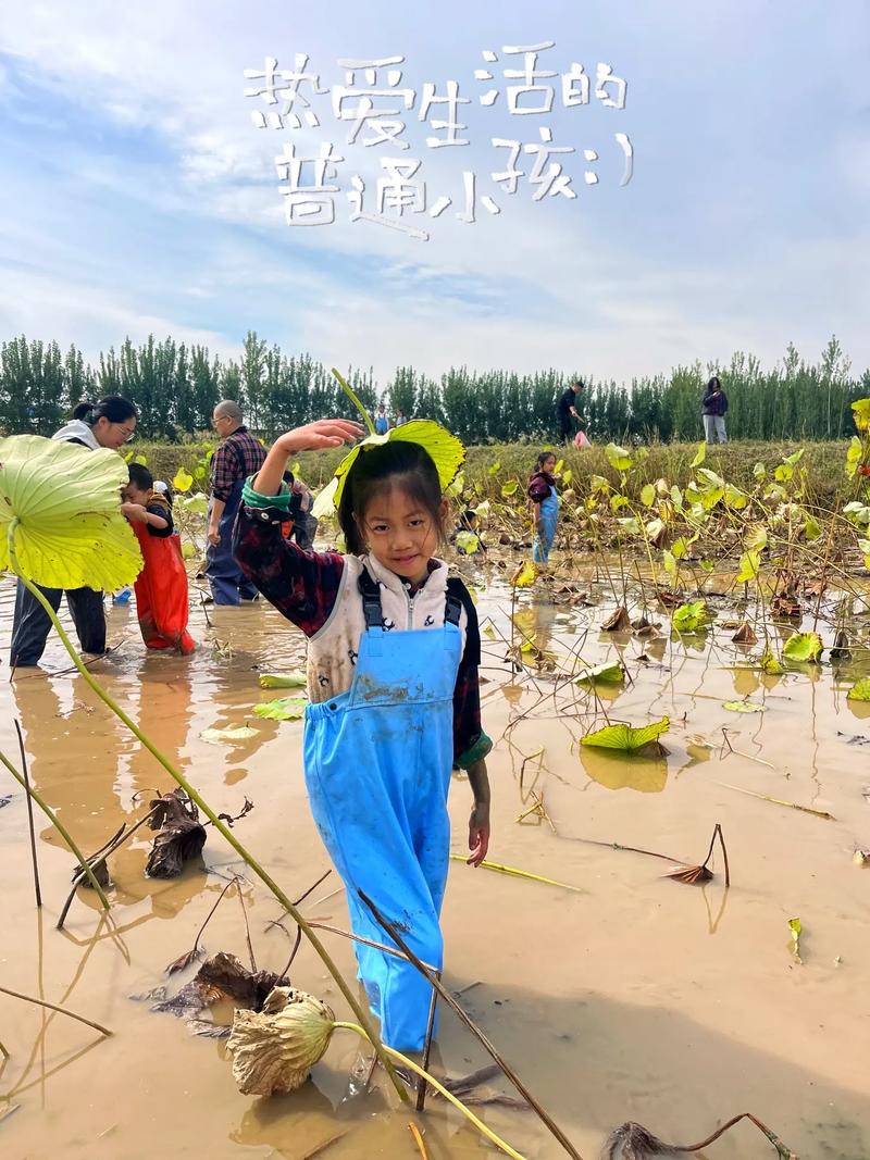 梦见自己挖藕
