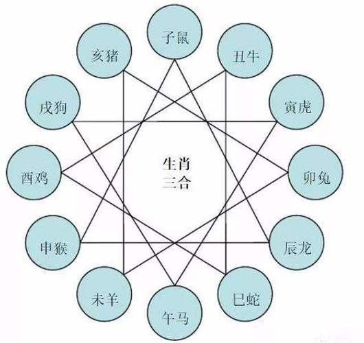 属猴交运忌什么属相