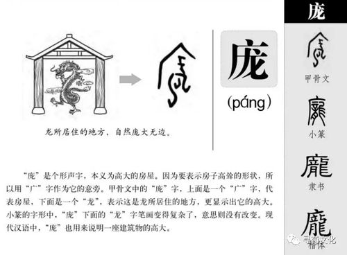 庞姓的来源
