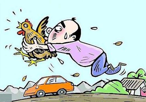 女人梦见抓鸡什么意思