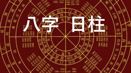 辛亥日柱男命健康运