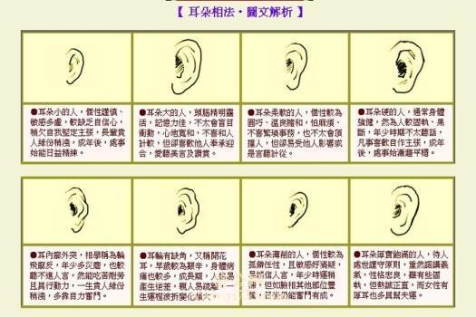 看耳朵预测学历高低