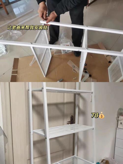 属蛇人养猫如何旺