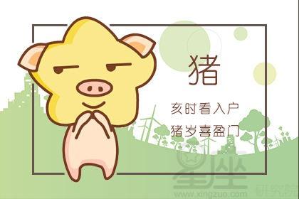 2019年十一月份适合生猪宝宝吗?有什么过人之处?