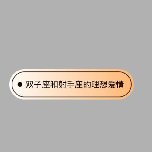 射手座男和双子座女