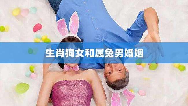生肖男兔和生肖女狗的爱情