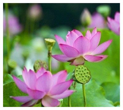 一生最苦的七个生日尾数,天生最好命大富大贵的三大出生日
