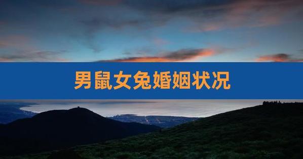 女兔男鼠的婚姻会幸福吗