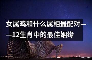 鸡和鸡的姻缘怎么样