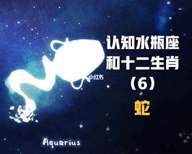 属蛇水瓶座2021年财运运势
