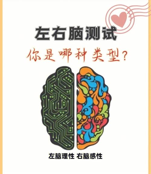 左右脑专业测试