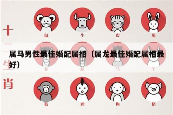 属马的属相婚配表,属马人2021年事业运势怎么样?
