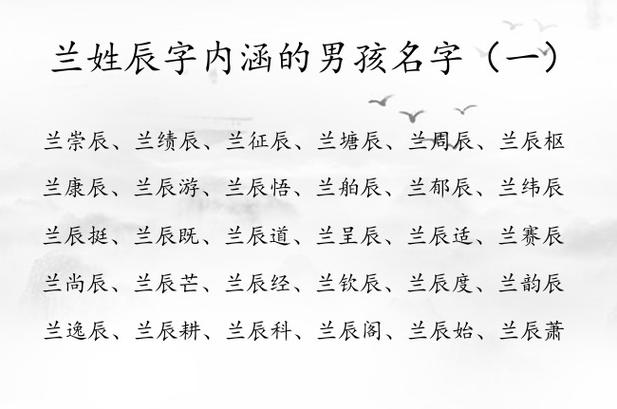 属猪的兰姓男宝宝名字