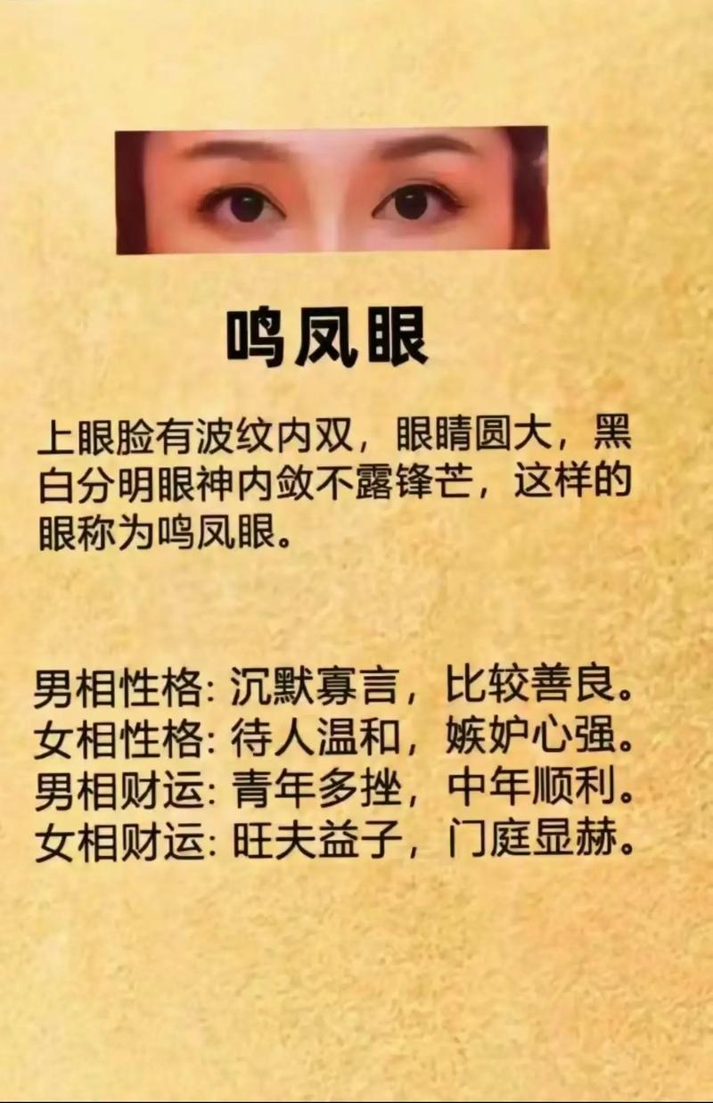 怎么辨别有智慧之人的面相?